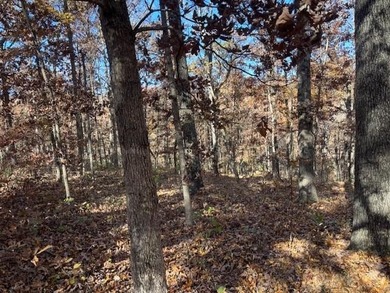 It is possible to find lot that is over one acre, and this is on Bella Vista - Metfield Golf Complex and Country Club in Arkansas - for sale on GolfHomes.com, golf home, golf lot
