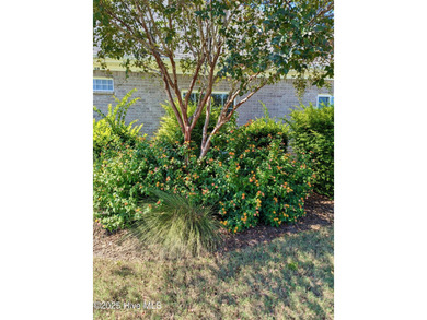 Discover easy, low-maintenance living in this like-new beauty on Compass Pointe Golf Course in North Carolina - for sale on GolfHomes.com, golf home, golf lot