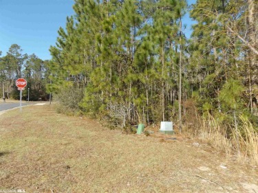 Is Island Life what you're looking for?  This is an awesome lot on The Golf Club of the Wharf in Alabama - for sale on GolfHomes.com, golf home, golf lot