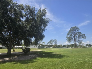 VERY WELL-MAINTAINED GOLF COURSE HOME IN ZELLWOOD STATION! on Zellwood Station Country Club in Florida - for sale on GolfHomes.com, golf home, golf lot