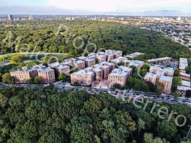 Charming Two-Bedroom Co-op with Park Views in Forest Park on Forest Park Golf Course in New York - for sale on GolfHomes.com, golf home, golf lot