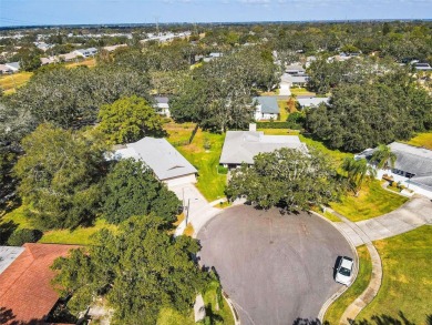 You just landed on your perfect home! With a wealth of space on Countryside Country Club in Florida - for sale on GolfHomes.com, golf home, golf lot