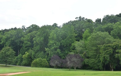Overlooking the 7th green and fairway from this elevated long on Mountain Harbour Golf Club in North Carolina - for sale on GolfHomes.com, golf home, golf lot