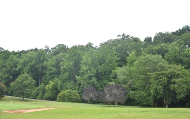 Overlooking the 7th green and fairway from this elevated long on Mountain Harbour Golf Club in North Carolina - for sale on GolfHomes.com, golf home, golf lot