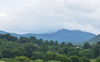 Overlooking the 7th green and fairway from this elevated long on Mountain Harbour Golf Club in North Carolina - for sale on GolfHomes.com, golf home, golf lot