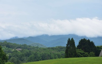 Overlooking the 7th green and fairway from this elevated long on Mountain Harbour Golf Club in North Carolina - for sale on GolfHomes.com, golf home, golf lot