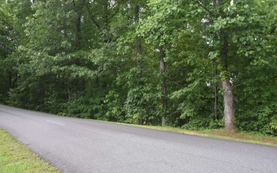 Overlooking the 7th green and fairway from this elevated long on Mountain Harbour Golf Club in North Carolina - for sale on GolfHomes.com, golf home, golf lot
