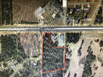 Prime commercial land on Hwy 42 East (EGP) in the Petal School on Twin Pines Country Club in Mississippi - for sale on GolfHomes.com, golf home, golf lot
