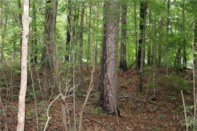 Established subdivision 1.18 acre lot, lot slopes from the road on Sunrise Golf Club in Georgia - for sale on GolfHomes.com, golf home, golf lot
