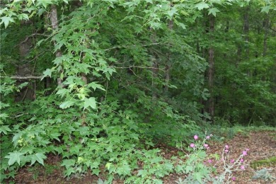 Established subdivision 1.18 acre lot, lot slopes from the road on Sunrise Golf Club in Georgia - for sale on GolfHomes.com, golf home, golf lot
