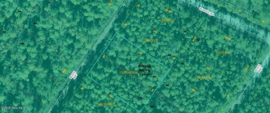 745-acre wooded parcel located in Boiling Spring Lakes. Zoned on The Lakes Country Club in North Carolina - for sale on GolfHomes.com, golf home, golf lot