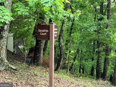 Land for Sale - Build Your Mountain Retreat in Bent Tree Don't on Bent Tree Golf Course in Georgia - for sale on GolfHomes.com, golf home, golf lot