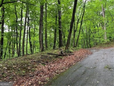 Land for Sale - Build Your Mountain Retreat in Bent Tree Don't on Bent Tree Golf Course in Georgia - for sale on GolfHomes.com, golf home, golf lot
