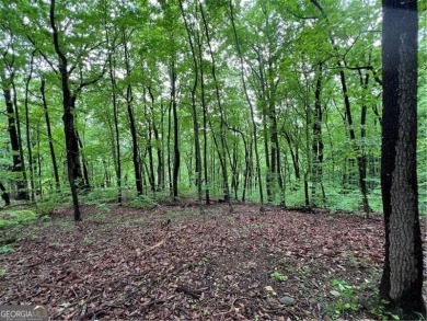 Land for Sale - Build Your Mountain Retreat in Bent Tree Don't on Bent Tree Golf Course in Georgia - for sale on GolfHomes.com, golf home, golf lot