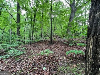 Land for Sale - Build Your Mountain Retreat in Bent Tree Don't on Bent Tree Golf Course in Georgia - for sale on GolfHomes.com, golf home, golf lot