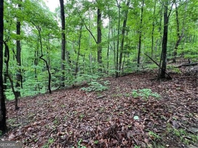 Land for Sale - Build Your Mountain Retreat in Bent Tree Don't on Bent Tree Golf Course in Georgia - for sale on GolfHomes.com, golf home, golf lot