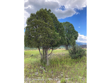 Experience the very best of Star Valley Ranch with this on Star Valley RV Golf Course in Wyoming - for sale on GolfHomes.com, golf home, golf lot