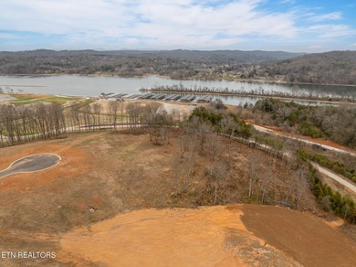 Welcome to 5720 Old Dogwood Trail, located within Tennessee on Tennessee National Golf Club in Tennessee - for sale on GolfHomes.com, golf home, golf lot