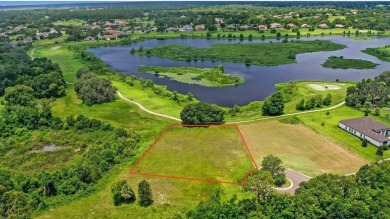 Here is your opportunity to build your custom home on the LAST on Red Tail Golf Club in Florida - for sale on GolfHomes.com, golf home, golf lot