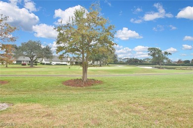 Schedule your showing now so you do not miss this beautiful 1st on Cross Creek Country Club in Florida - for sale on GolfHomes.com, golf home, golf lot