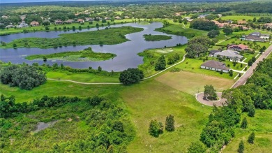 Here is your opportunity to build your custom home on the LAST on Red Tail Golf Club in Florida - for sale on GolfHomes.com, golf home, golf lot