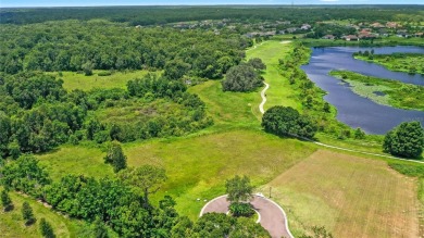 Here is your opportunity to build your custom home on the LAST on Red Tail Golf Club in Florida - for sale on GolfHomes.com, golf home, golf lot