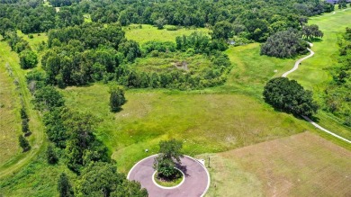 Here is your opportunity to build your custom home on the LAST on Red Tail Golf Club in Florida - for sale on GolfHomes.com, golf home, golf lot