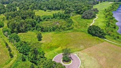 Here is your opportunity to build your custom home on the LAST on Red Tail Golf Club in Florida - for sale on GolfHomes.com, golf home, golf lot