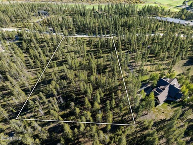 Are you considering building your mountain dream home? This on Pole Creek Golf Club in Colorado - for sale on GolfHomes.com, golf home, golf lot