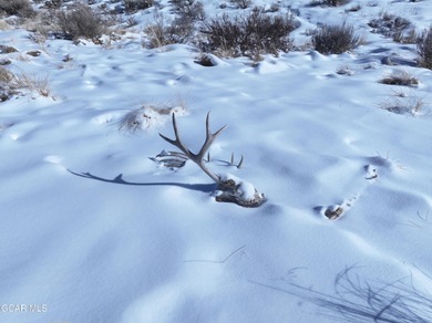 Premier Homesite in the Fairways at Pole Creek! Home to the on Pole Creek Golf Club in Colorado - for sale on GolfHomes.com, golf home, golf lot