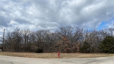 Don't miss this GREAT opportunity to build your dream home or on The Club At Runaway Bay in Texas - for sale on GolfHomes.com, golf home, golf lot