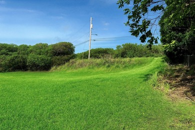 Build Your Dream Home on the Golf Course in Discovery Harbour! on Discovery Harbour Golf Course in Hawaii - for sale on GolfHomes.com, golf home, golf lot