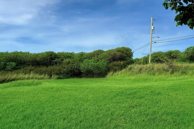 Build Your Dream Home on the Golf Course in Discovery Harbour! on Discovery Harbour Golf Course in Hawaii - for sale on GolfHomes.com, golf home, golf lot