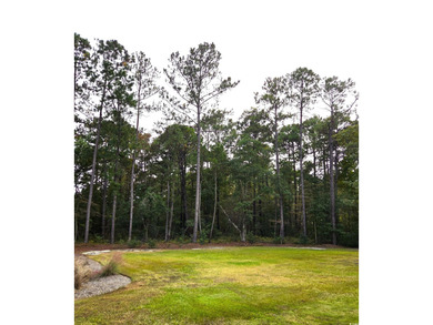 Rare opportunity for builders/developers to secure soon to be on True Blue Plantation in South Carolina - for sale on GolfHomes.com, golf home, golf lot