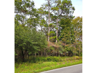 Rare opportunity for builders/developers to secure soon to be on True Blue Plantation in South Carolina - for sale on GolfHomes.com, golf home, golf lot