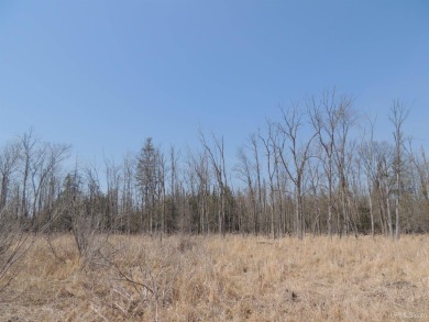Make this undeveloped 5.65 wooded acres with 444' of water on Nahma Club in Michigan - for sale on GolfHomes.com, golf home, golf lot