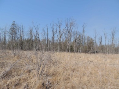 Make this undeveloped 5.65 wooded acres with 444' of water on Nahma Club in Michigan - for sale on GolfHomes.com, golf home, golf lot