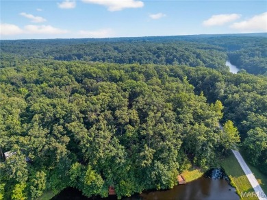 Whether you're dreaming of a private weekend escape, a full time on Innsbrook Resort Golf Course in Missouri - for sale on GolfHomes.com, golf home, golf lot