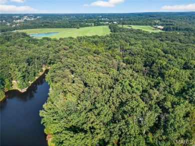 Whether you're dreaming of a private weekend escape, a full time on Innsbrook Resort Golf Course in Missouri - for sale on GolfHomes.com, golf home, golf lot
