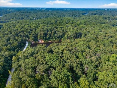 Whether you're dreaming of a private weekend escape, a full time on Innsbrook Resort Golf Course in Missouri - for sale on GolfHomes.com, golf home, golf lot