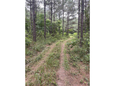 The location just northwest of the El Dorado city limits is on Lions Club Municipal Golf Course in Arkansas - for sale on GolfHomes.com, golf home, golf lot