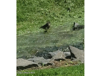 Custom large home on Pinehurst GOLF Course with a seasonal CREEK on The Pinehurst Golf Course in Idaho - for sale on GolfHomes.com, golf home, golf lot