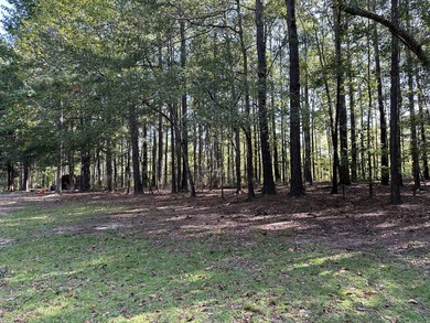 Opportunity awaits at 707 Pebblebrook Road in Woodbury on Pebblebrook Golf Club in Georgia - for sale on GolfHomes.com, golf home, golf lot