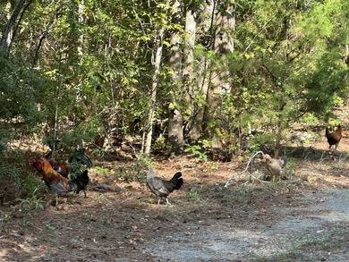 Opportunity awaits at 707 Pebblebrook Road in Woodbury on Pebblebrook Golf Club in Georgia - for sale on GolfHomes.com, golf home, golf lot