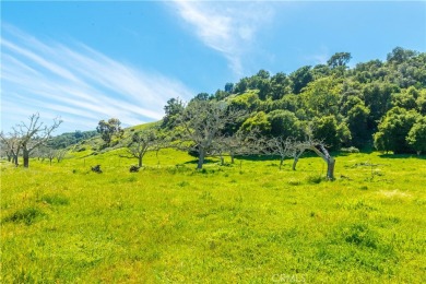 Nestled along the captivating Gaviota Coast of Santa Barbara on Sandpiper Golf Course in California - for sale on GolfHomes.com, golf home, golf lot