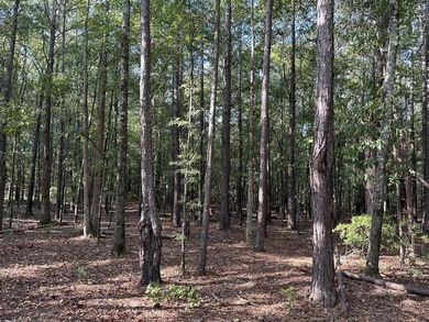 Opportunity awaits at 707 Pebblebrook Road in Woodbury on Pebblebrook Golf Club in Georgia - for sale on GolfHomes.com, golf home, golf lot
