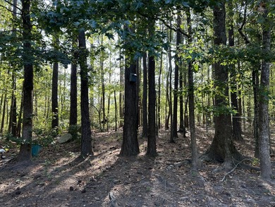 Opportunity awaits at 707 Pebblebrook Road in Woodbury on Pebblebrook Golf Club in Georgia - for sale on GolfHomes.com, golf home, golf lot