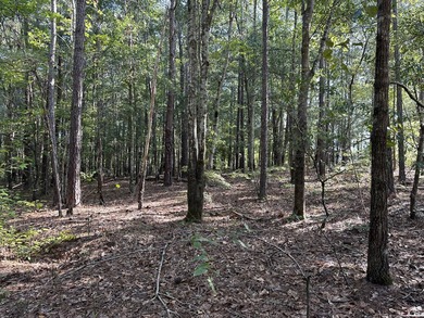 Opportunity awaits at 707 Pebblebrook Road in Woodbury on Pebblebrook Golf Club in Georgia - for sale on GolfHomes.com, golf home, golf lot