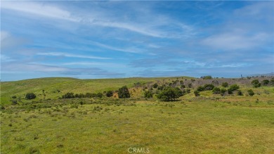 Nestled along the captivating Gaviota Coast of Santa Barbara on Sandpiper Golf Course in California - for sale on GolfHomes.com, golf home, golf lot