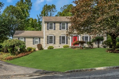 Beautifully done center hall colonial, updated kitchen with on Panther Valley Golf and Country Club in New Jersey - for sale on GolfHomes.com, golf home, golf lot